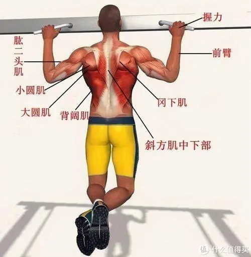三明绿化与市容